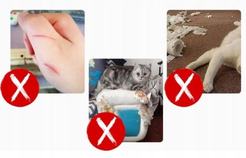 Drapak wysoki dla kota wieża legowisko XL beżowy MT05 duży +wędka GRATIS