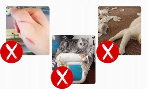 Słupek dla kota z piłeczką drapak RÓŻOWY MX02 Słupek dla kota z piłeczką drapak RÓŻOWY MX02