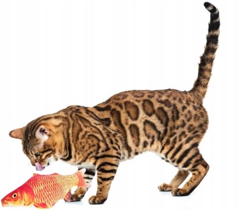 Zabawka z kocimiętką dla kota 60cm karp 20R Zabawka z kocimiętką dla kota 60cm karp 20R