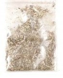 Zabawka z kocimiętką dla kota 60cm karp 20R Zabawka z kocimiętką dla kota 60cm karp 20R